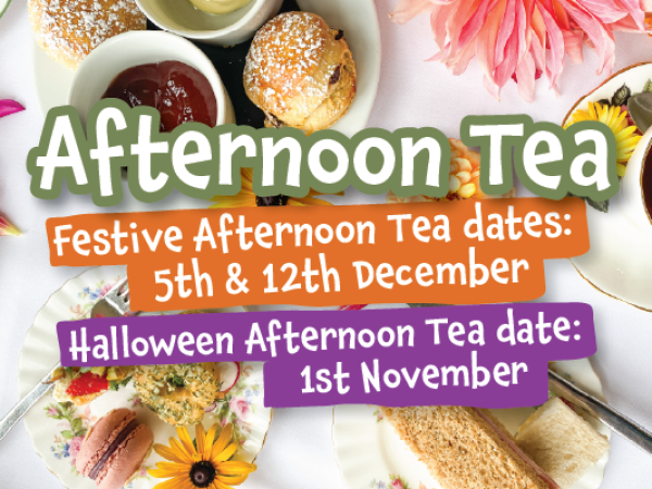 Afternoon Tea in the Manor