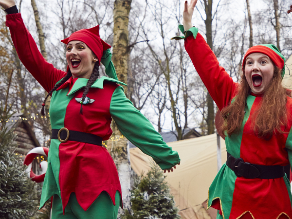 Magical Sleigh Rides Experience 2025