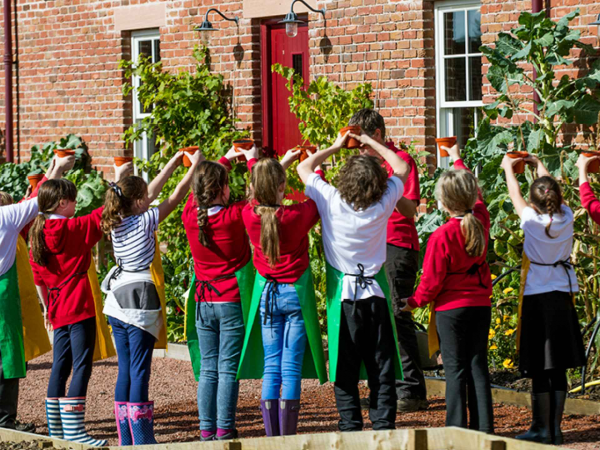 STEM/Garden Workshops - Spring/Summer 2026