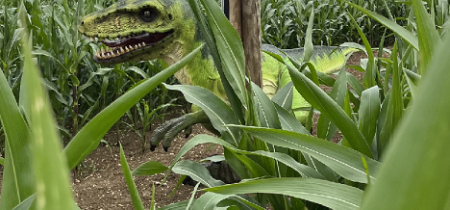 Halloween Maize Maze