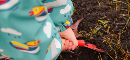 Little green fingers: November