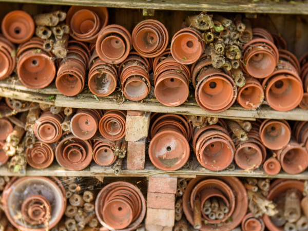 Little Acorns- Flower Pot Bug Hotel at Yarnton