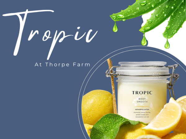 Tropic Evening