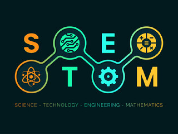 STEM CPD - Lighting up the Curriculum