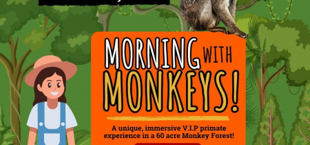 Morning With Monkeys - VIP Experience