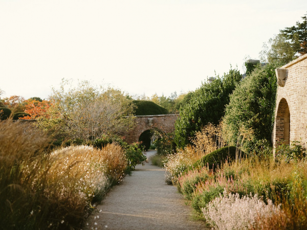Plant Propagation Masterclass