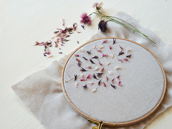 Stitching with Nature with Katerina Knight 2026