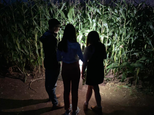 Torch Light Nights