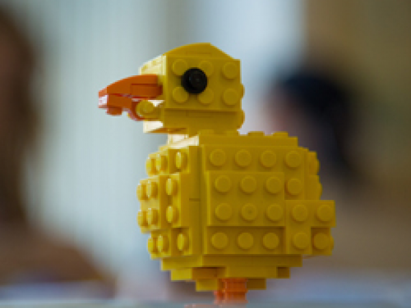 LEGO® brick workshops at WWT Washington