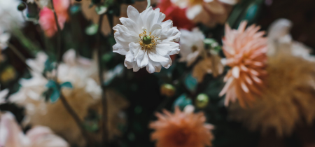 Strawberry Hill House Flower Festival: Hand-tied Bouquet Demonstration
