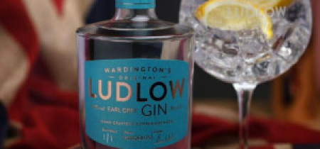 Wardington's Original Ludlow Gin, Spirits & Cocktail Workshop