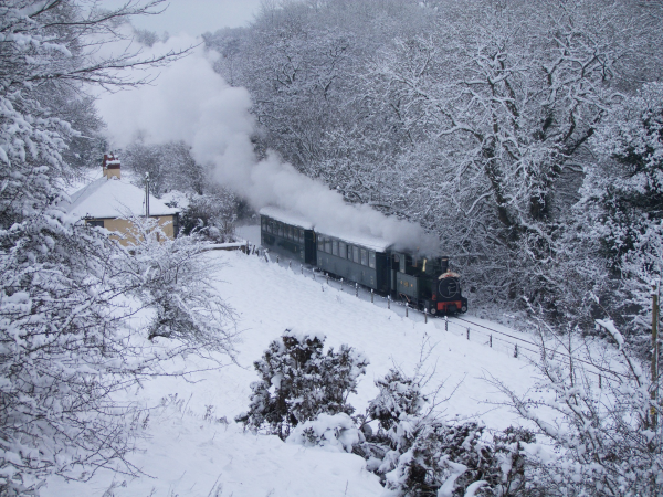 Mince Pie Trains: 28 - 30th December