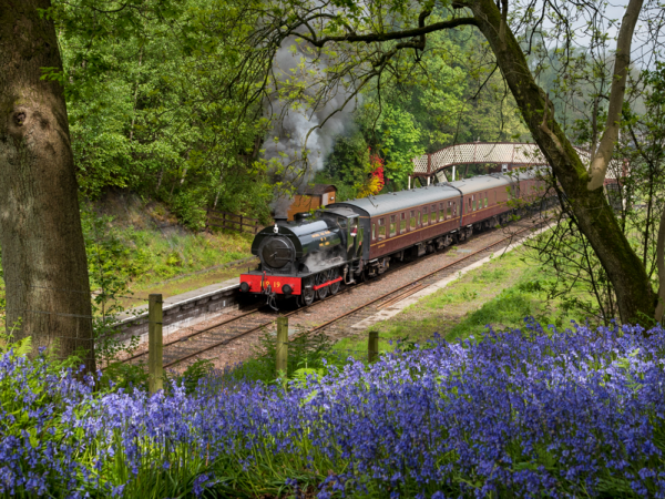 Forth Valley Gin Train