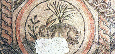 The Hare Mosaic