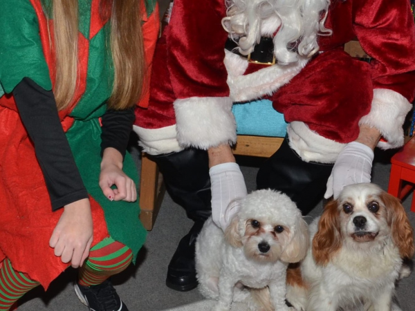 Santa PAWS Grotto Visit 2025