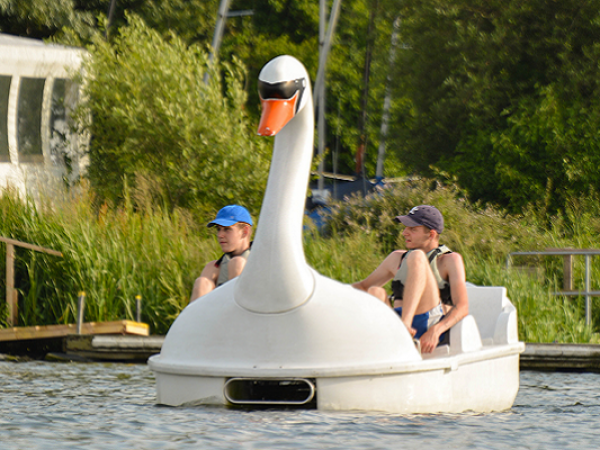 Swan Pedalo