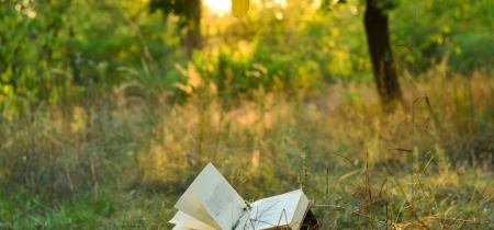 Adult Poetry Workshop