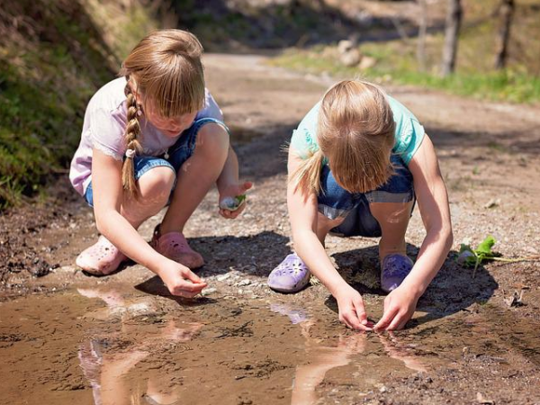 Pond Dipping at Longacres Bybrook Barn