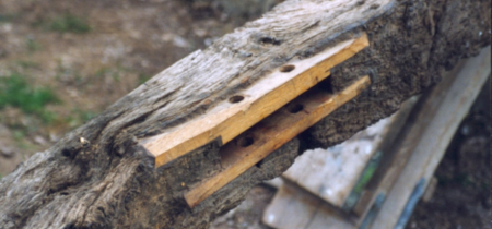 How to repair traditional timber walls and roofs