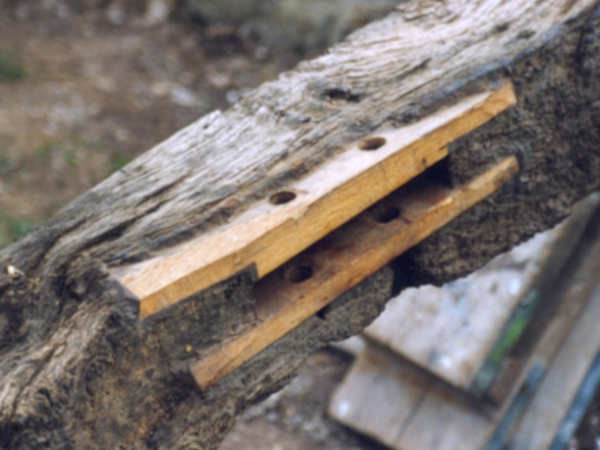 How to repair traditional timber walls and roofs