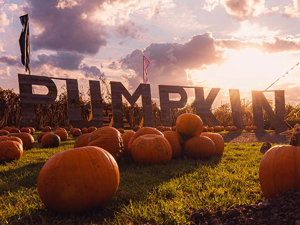 Pumpkin Village