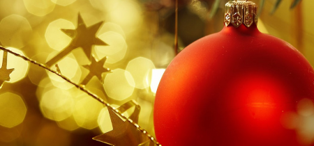 Christmas Twilight Guided Tours