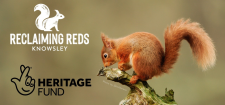 Red Squirrel Awareness Week Talk