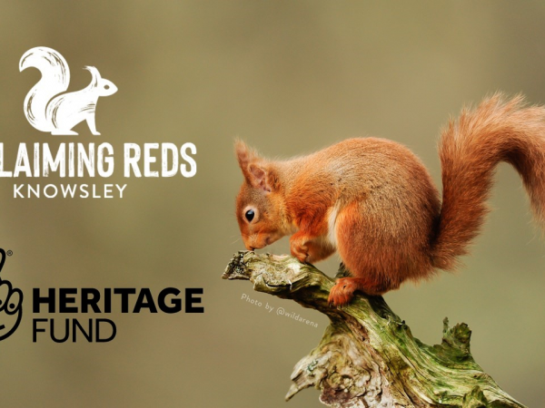 Red Squirrel Awareness Week Day Visit