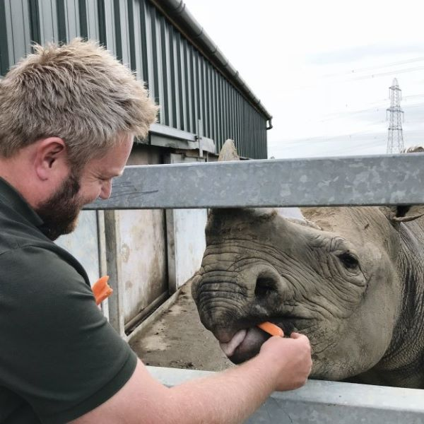 Buy Rhino experience Tickets online - Folly Farm