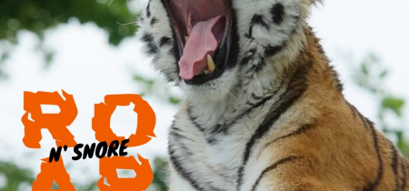 Roar 'n' Snore #3 Saturday 16th July 2022