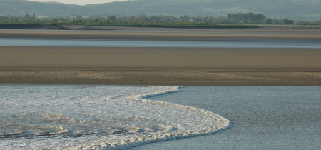 Severn Bore Safari  (Slimbridge 2024)