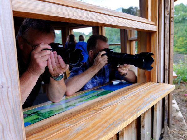 Wildlife Photography Workshop (Martin Mere)