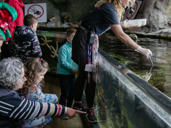 Mini Marine Biologist: 5-7 year olds