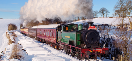 Santa Steam Trains: Standard Seating