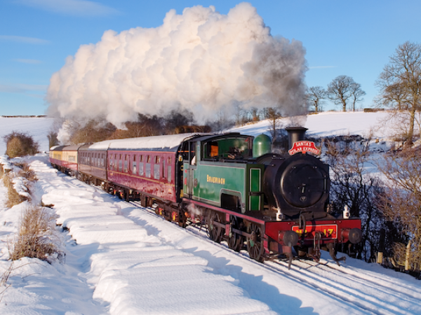 Santa Steam Trains: Standard Seating