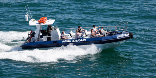 Buy Seal Safari Tickets Online Tenby Boat Trips buy-seal-safari-tickets-online-tenby-boat-trips