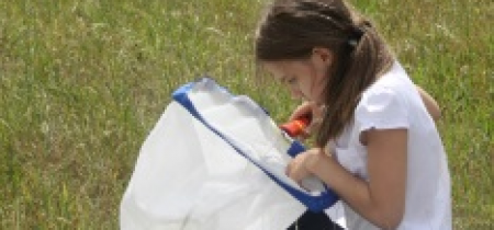 Bug Hunting at Ferry Meadows