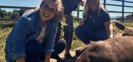 Tapir Tummy Rubs - Animal Experience