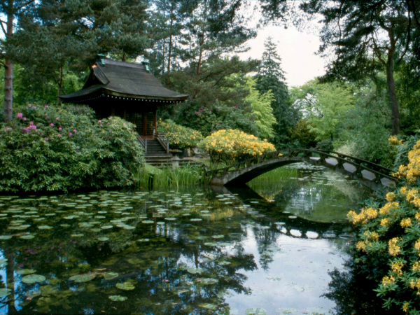 Tatton Park - Residents' Festival - FREE ENTRY TO THE GARDENS
