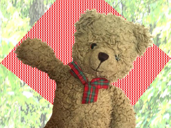 Teddy Bears' Picnic 2025