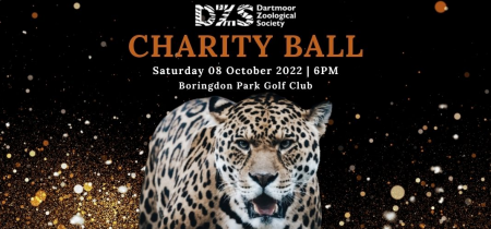 DZS Charity Ball