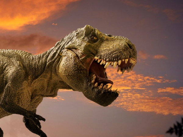 The Dinosaur Show