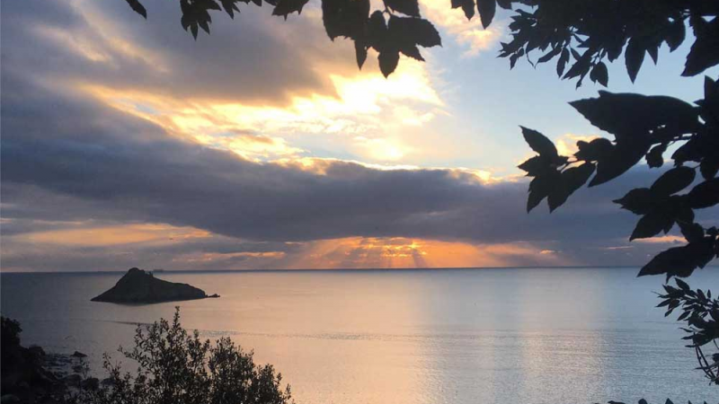 8-Week Mindfulness for Health and Well-being in Torquay