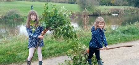 Tree Hunt and Broomsticks