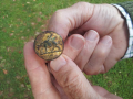 Volunteer every Tuesday/Thursday in the Sharpham Archive