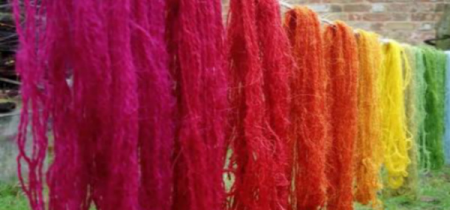 Wild About Wool 12 & 13 October