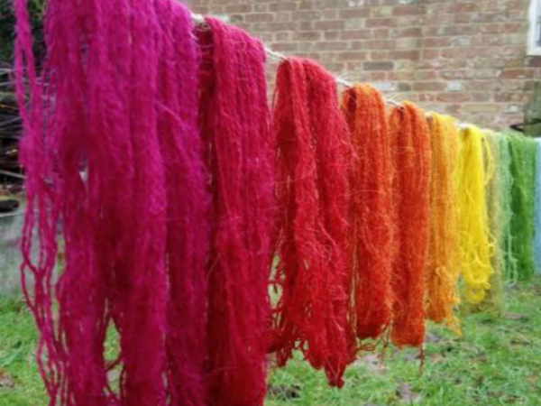 Wild About Wool 11 & 12 October