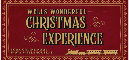 Wells Christmas Experience
