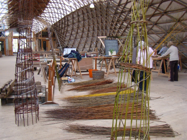 Willow garden supports