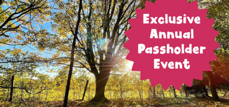 Forest School- 15 - 19 August